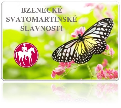 Bzenecké Svatomartinské slavnosti Bzenecké Svatomartinské slavnosti