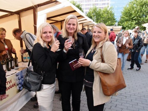 Vinobraní s Králem vín v Edenu Vinobraní s Králem vín v Edenu