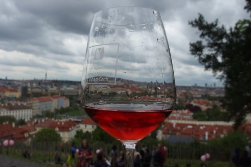 Výhled na Prahu ze Svatováclavské vinice Svátek růžových vín - výhled ze Svatováclavské vinice