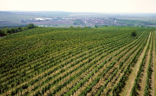 krajina Modrých Hor