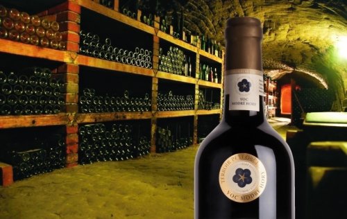 Festival otevřených sklepů - ilustrační obrázek Festival otevřených sklepů - ilustrační obrázek