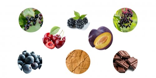 Aromata, která můžete ve vínech z odrůdy Cabernet Sauvignon najít Aromata ve vínech odrůdy Cabernet Sauvignon - rybíz, ostružiny, švestka, třešně
