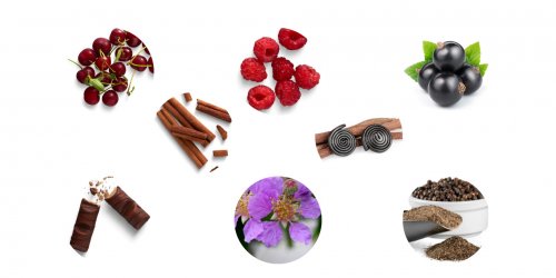 Pro aromatický profil Zweigeltrebe je typické peckové a bobulovité ovoce. Pro aromatický profil Zweigeltrebe je typické peckové a bobulovité ovoce.