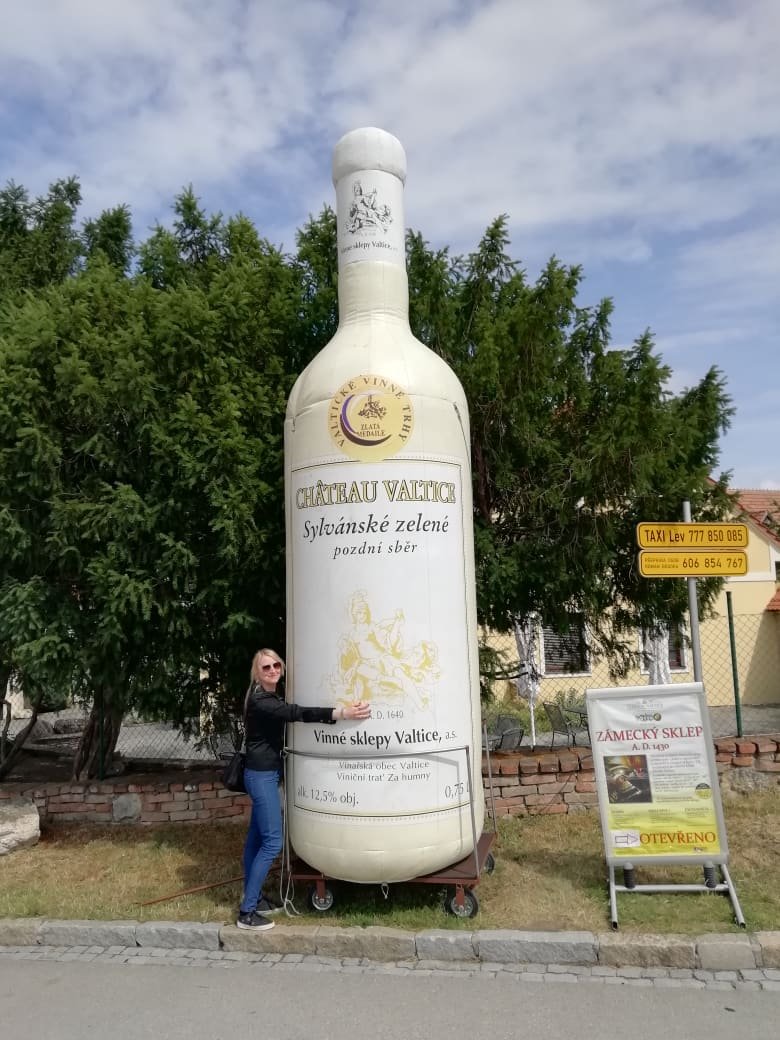 Obrazok vínomilce AnetArt