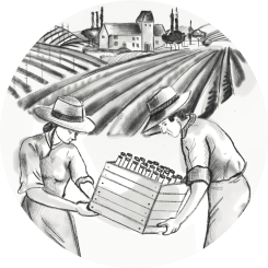 Příběh Vašeho nákupu na Lahvoteka.cz - od vinaře k Vám