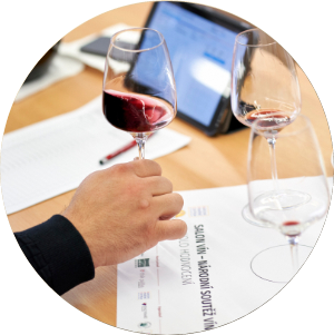 Salon vín ČRNárodní soutěž vín a stálá degustační expoziceObjevte 100 nejlepších vín ČR