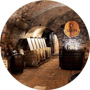 Salon vín ČRNárodní soutěž vín a stálá degustační expoziceObjevte 100 nejlepších vín ČR