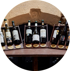 Salon vín ČRNárodní soutěž vín a stálá degustační expoziceObjevte 100 nejlepších vín ČR