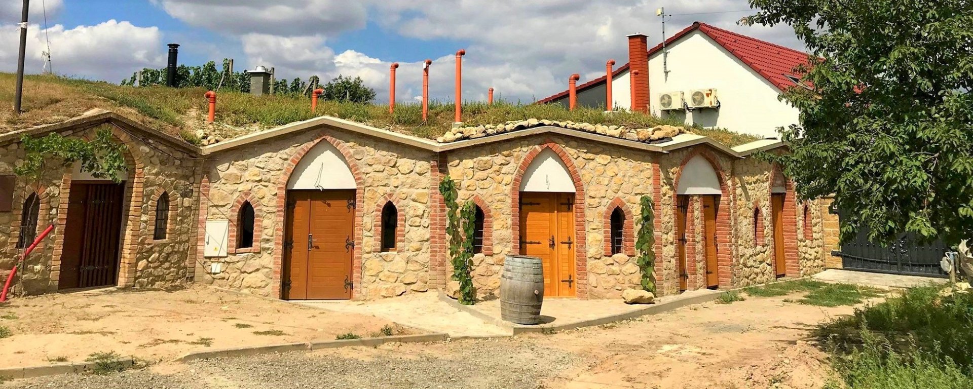 víno, vinařství, vinohrad, réva vinná