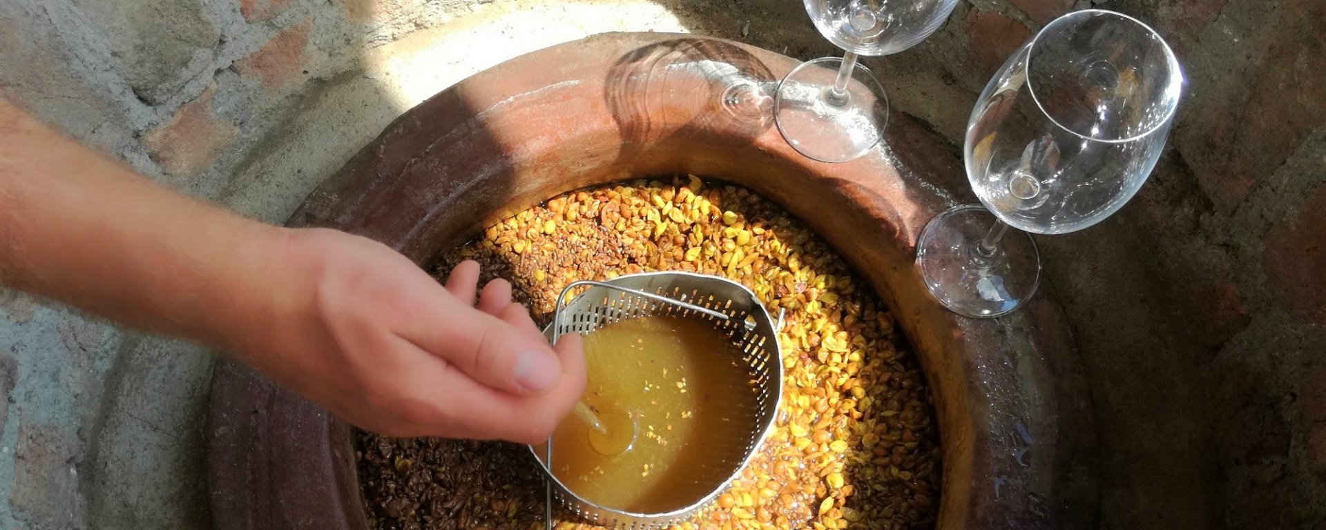 víno, vinařství, vinohrad, réva vinná