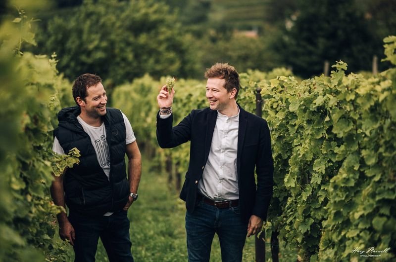 Kryptowine, Moravian winery