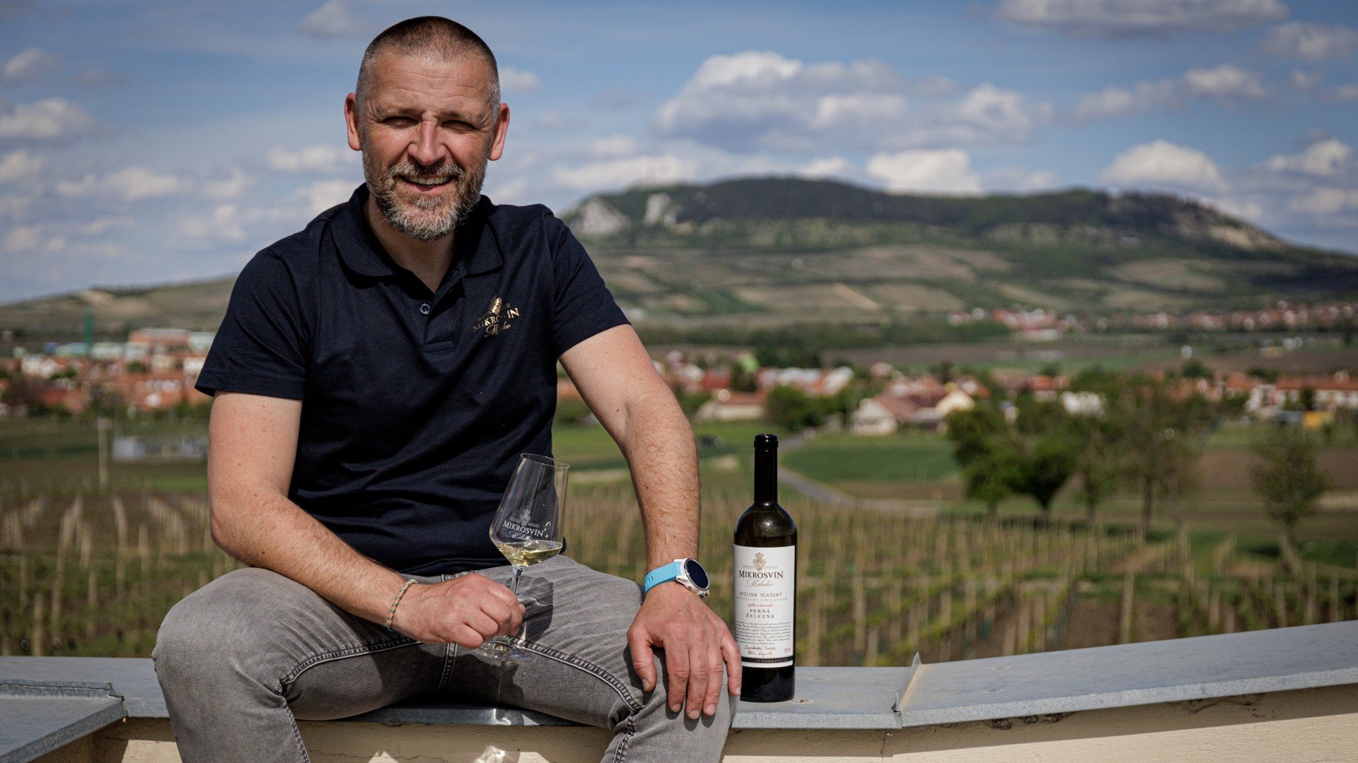 Vinařství Mikrosvín Mikulov