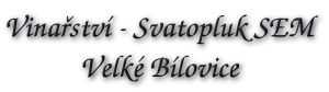 Svatopluk Sem
