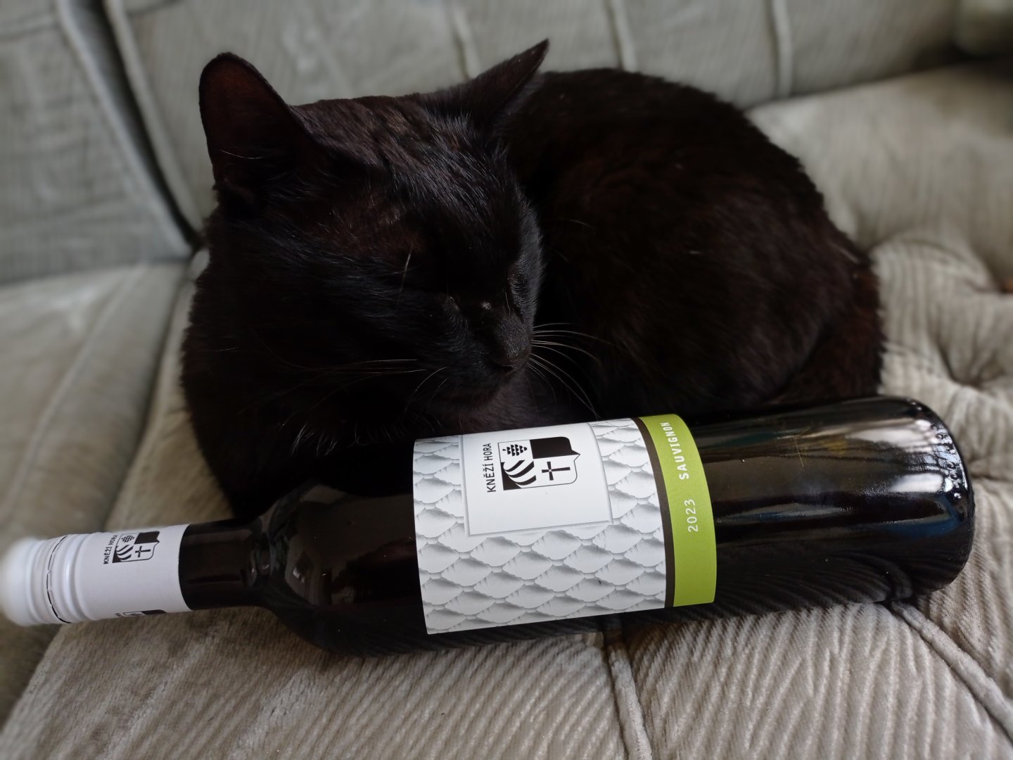 Fľaša vína Sauvignon 2023, pozdný sber (suché)