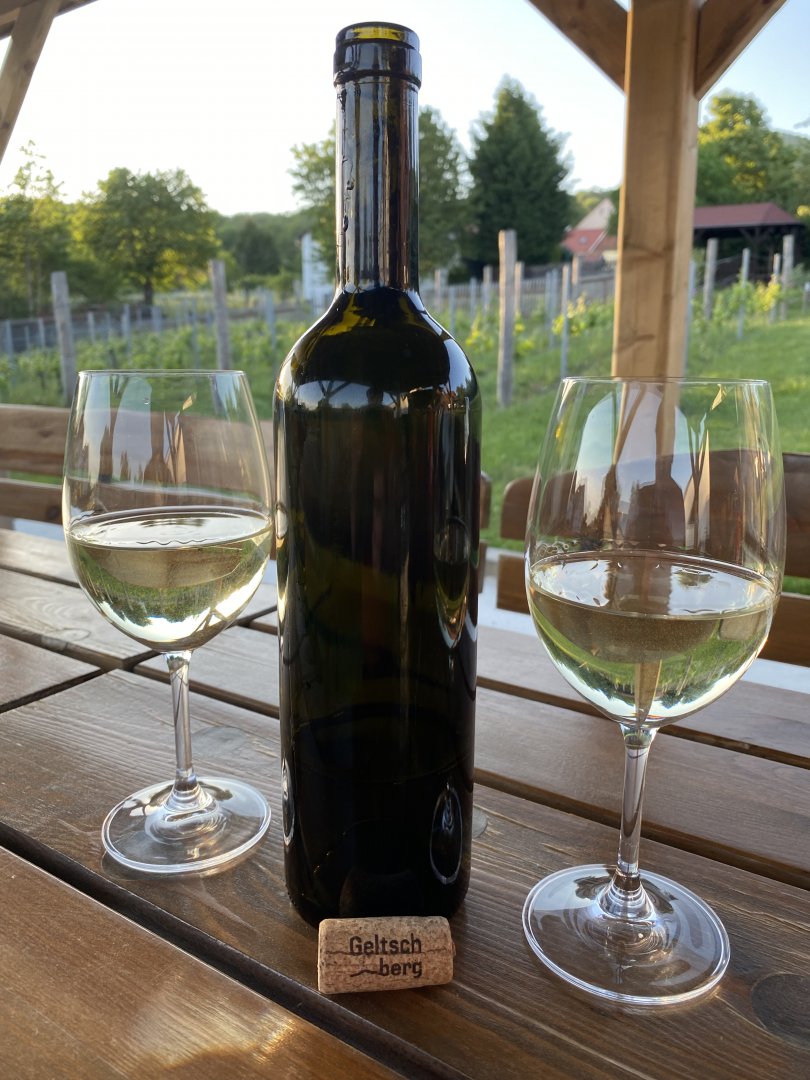 Fľaša vína Müller Thurgau 2023, české zemské víno (suché)