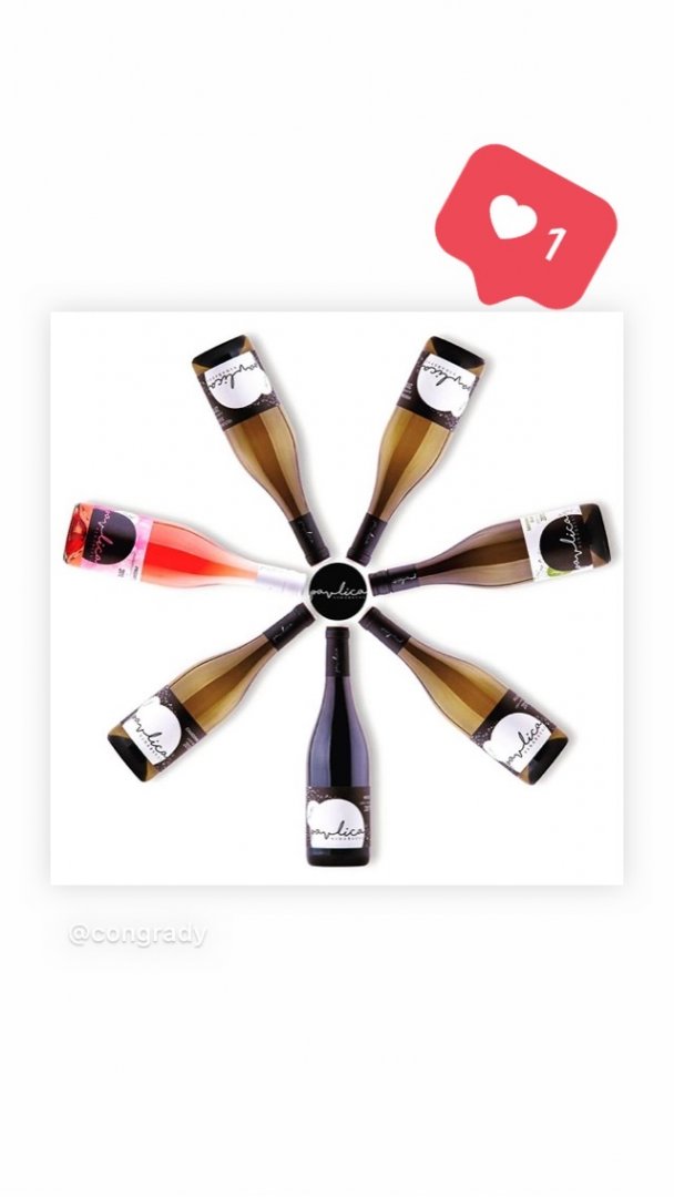 Fľaša vína Merlot 2019, výber z hrozna (suché)