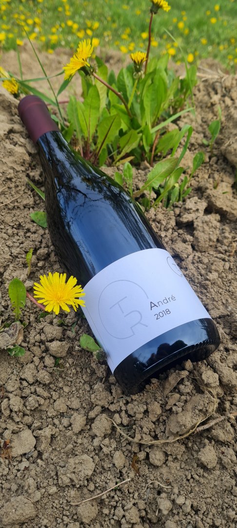 Fľaša vína André 2018, zemské víno (suché)