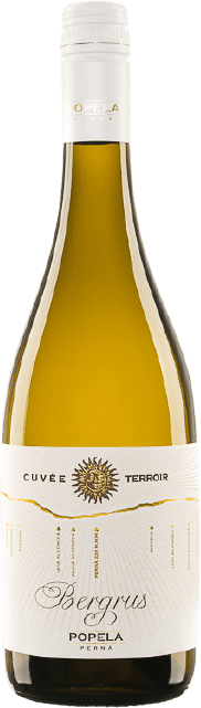 Fľaša vína Cuvée Terroir Bergrus 2019, pozdný sber (polosuché)