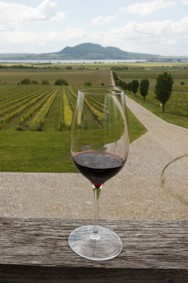 Fľaša vína Merlot (Velký) 2017, výber z hrozna (suché)