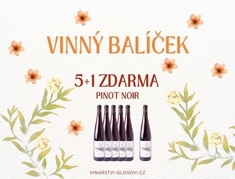 5+1 ZDARMA Pinot Noir 2021 5+1 ZDARMA Pinot Noir 2021