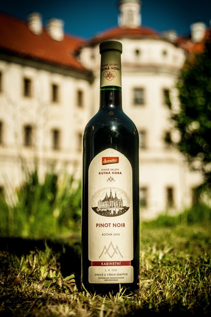 Fľaša vína Pinot Noir (staré keře) 2015, kabinetné víno (suché)