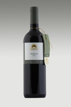 Fľaša vína Merlot (Velký) 2011, výber z hrozna (suché)