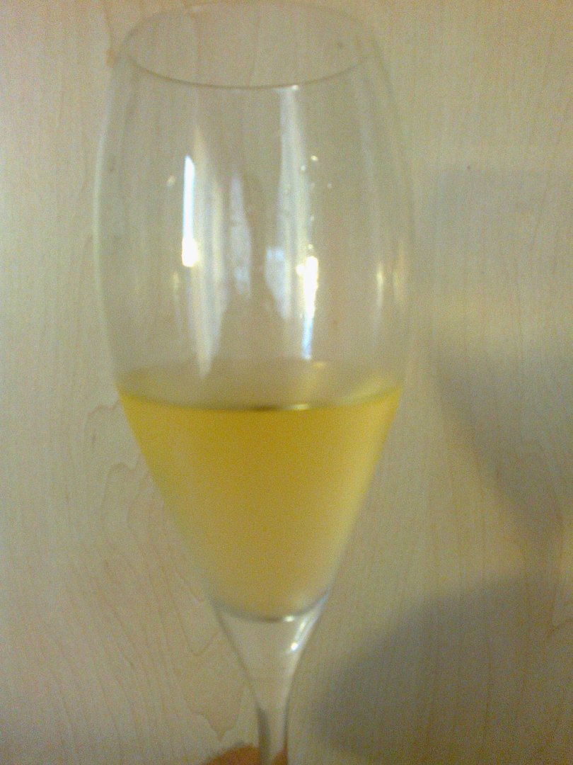 Fľaša vína Sekt Bettina Lobkowicz - burgundské cuvée brut 2011, šumivé víno stanovenej oblasti (sekt. s.o.) (brut)