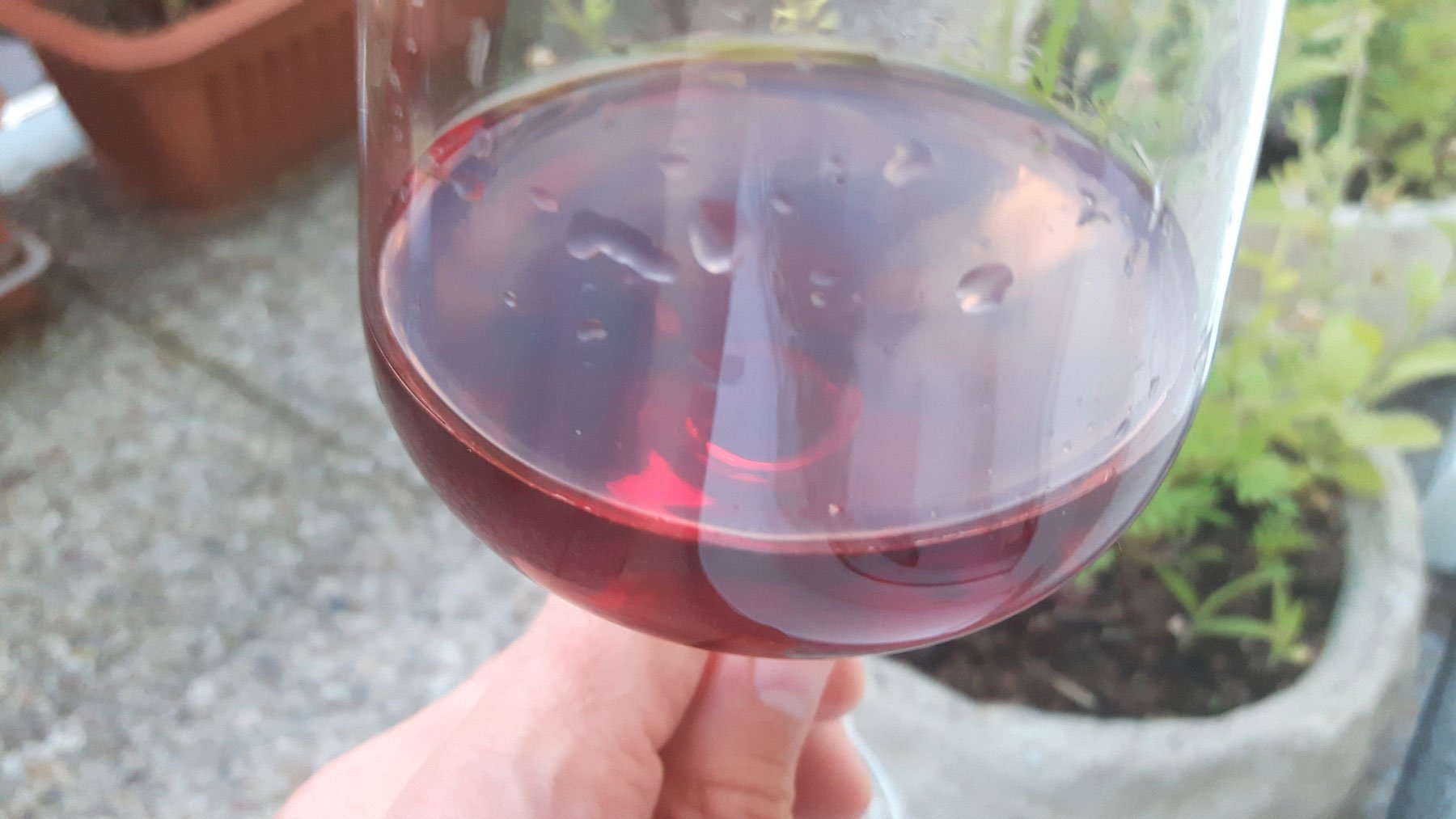 Fľaša vína Pinot Noir 2012, zemské víno (suché)