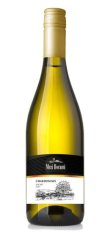Chardonnay 2023, pozdný sber
