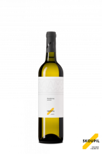 Chardonnay 2024, pozdný sber