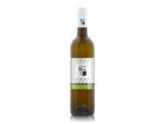Sauvignon 2024, pozdný sber Sauvignon 2024, pozdný sber