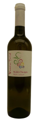 Müller Thurgau 2024, moravské zemské víno