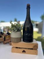 Sekt Brut 2023, pestovateľský sekt