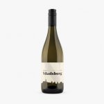 Sauvignon 2023, pozdný sber