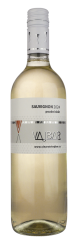 Sauvignon 2024, pozdný sber