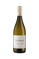 Sauvignon Blanc 2024, pozdný sber