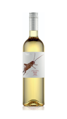 Pinot Gris 2023, pozdný sber