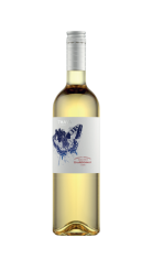 Chardonnay 2023, pozdný sber