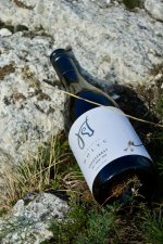 Chardonnay 2024, moravské zemské víno