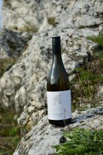 Chardonnay 2023, moravské zemské víno