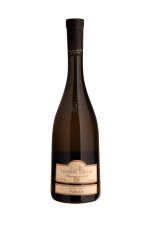 Sauvignon 2023, pozdný sber