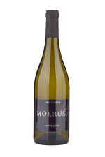 Sauvignon 2024, pozdný sber