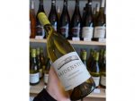 Sauvignon Blanc Steinriegel 2023 Sauvignon Blanc Steinriegel 2023