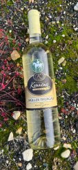 Müller Thurgau 2024, moravské zemské víno