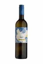 Sauvignon 2023, moravské zemské víno