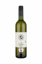 Sauvignon 2023, pozdný sber
