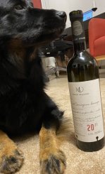 Cabernet Sauvignon Ch. Dowina 2021 Cabernet Sauvignon Ch. Dowina 2021