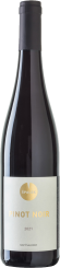 Pinot noir 2021, pozdný sber