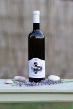 Müller Thurgau 2023 Müller Thurgau 2023