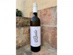 Sauvignon 2022, pozdný sber
